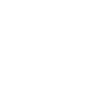 Logo-white_trans-bg_500x