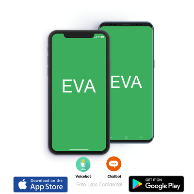 Eva Money