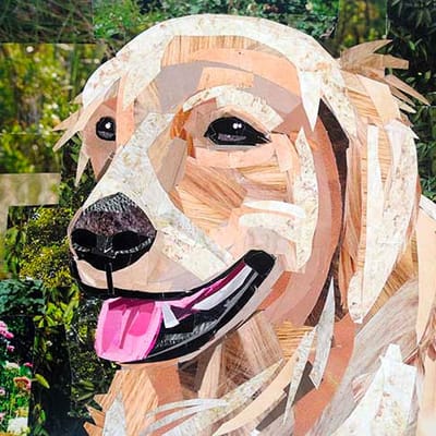 Original Collage Art