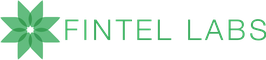 Fintel Labs logo